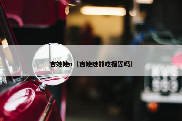 吉娃娃n（吉娃娃能吃榴莲吗）