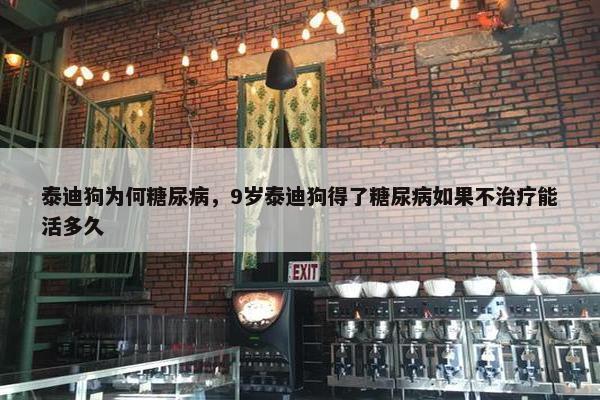 泰迪狗为何糖尿病，9岁泰迪狗得了糖尿病如果不治疗能活多久