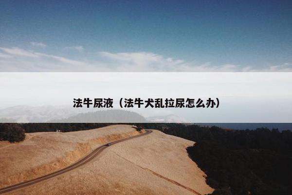 法牛尿液（法牛犬乱拉尿怎么办）