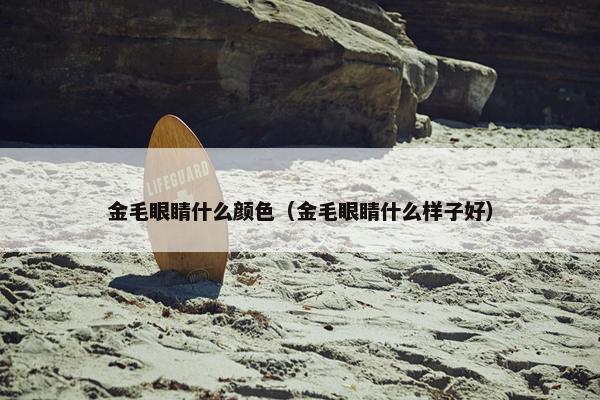 金毛眼睛什么颜色（金毛眼睛什么样子好）