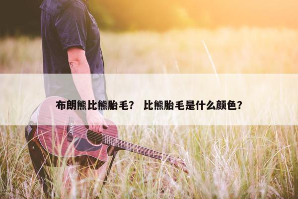 布朗熊比熊胎毛？ 比熊胎毛是什么颜色？