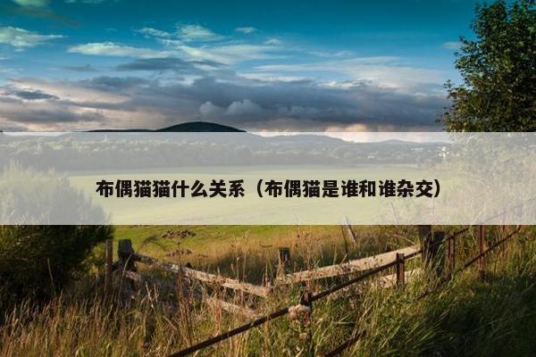 布偶猫猫什么关系（布偶猫是谁和谁杂交）