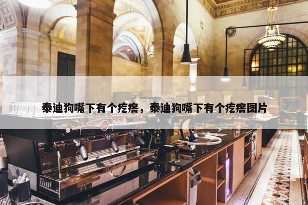 泰迪狗嘴下有个疙瘩，泰迪狗嘴下有个疙瘩图片