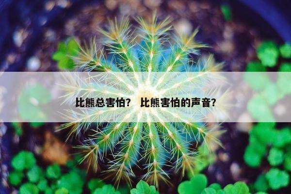 比熊总害怕？ 比熊害怕的声音？