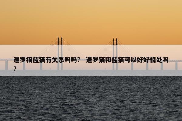 暹罗猫蓝猫有关系吗吗？ 暹罗猫和蓝猫可以好好相处吗？