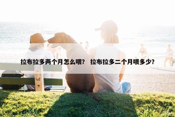 拉布拉多两个月怎么喂？ 拉布拉多二个月喂多少？