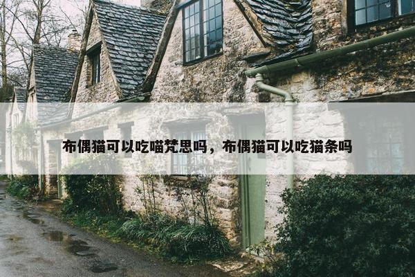 布偶猫可以吃喵梵思吗，布偶猫可以吃猫条吗