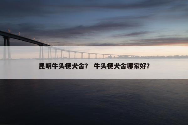 昆明牛头梗犬舍？ 牛头梗犬舍哪家好？