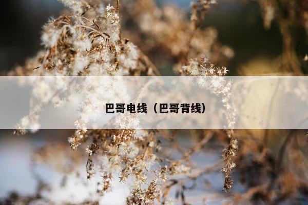 巴哥电线（巴哥背线）