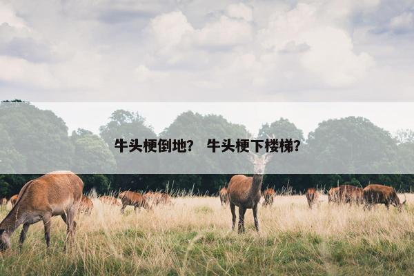 牛头梗倒地？ 牛头梗下楼梯？