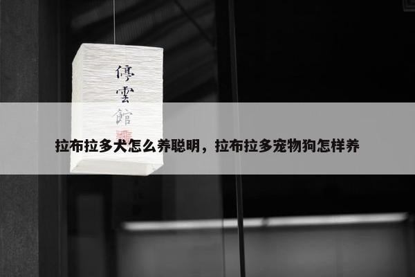 拉布拉多犬怎么养聪明，拉布拉多宠物狗怎样养