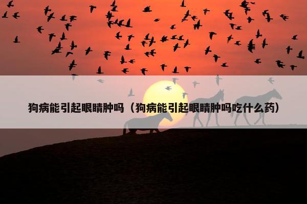 狗病能引起眼睛肿吗（狗病能引起眼睛肿吗吃什么药）