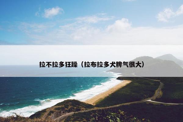 拉不拉多狂躁（拉布拉多犬脾气很大）