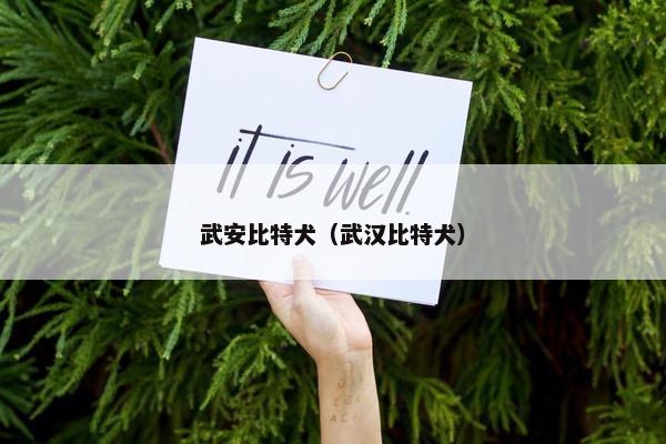 武安比特犬（武汉比特犬）