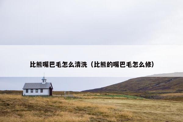 比熊嘴巴毛怎么清洗（比熊的嘴巴毛怎么修）
