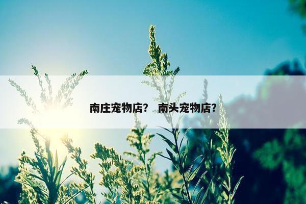 南庄宠物店？ 南头宠物店？