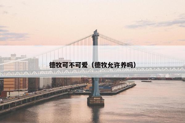 德牧可不可爱（德牧允许养吗）
