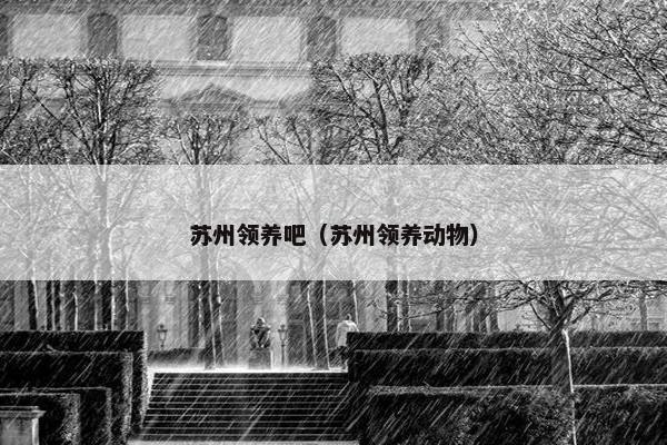 苏州领养吧（苏州领养动物）