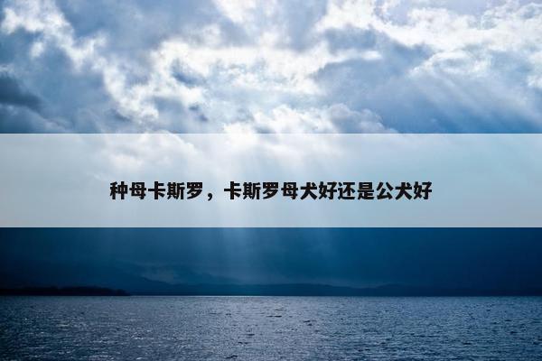 种母卡斯罗，卡斯罗母犬好还是公犬好