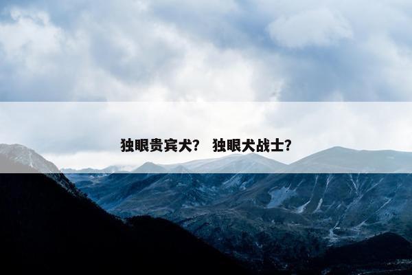 独眼贵宾犬？ 独眼犬战士？