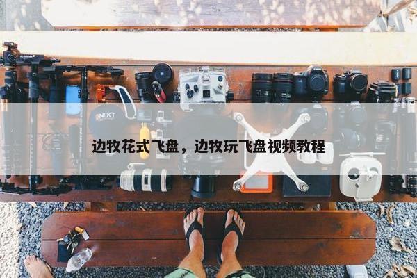 边牧花式飞盘，边牧玩飞盘视频教程