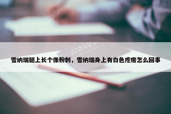 雪纳瑞腿上长个像粉刺，雪纳瑞身上有白色疙瘩怎么回事