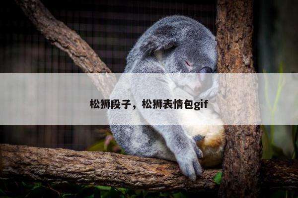 松狮段子，松狮表情包gif