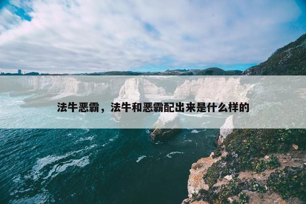 法牛恶霸，法牛和恶霸配出来是什么样的