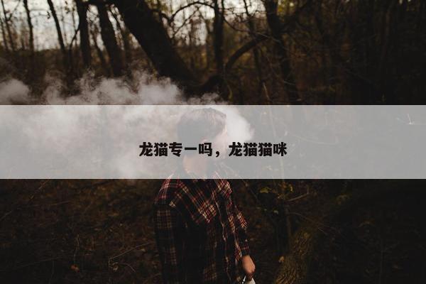 龙猫专一吗，龙猫猫咪