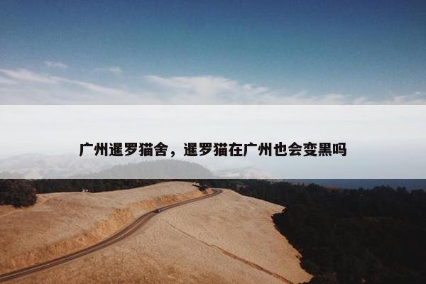广州暹罗猫舍，暹罗猫在广州也会变黑吗