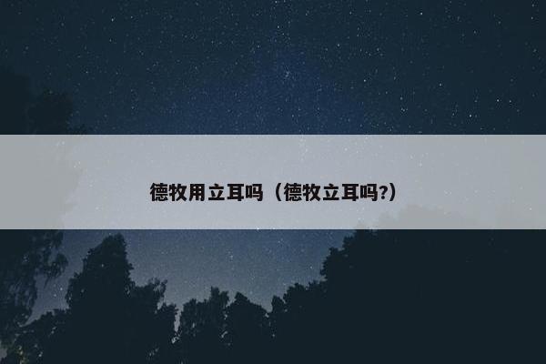 德牧用立耳吗（德牧立耳吗?）