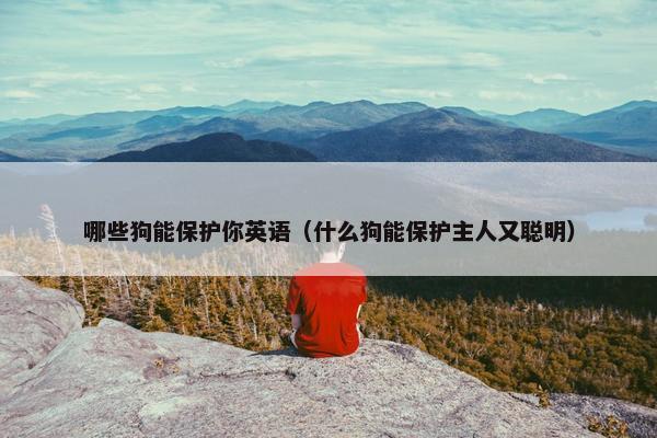 哪些狗能保护你英语（什么狗能保护主人又聪明）