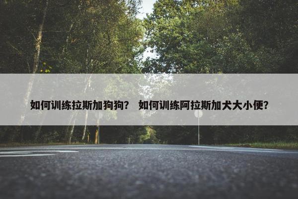 如何训练拉斯加狗狗？ 如何训练阿拉斯加犬大小便？