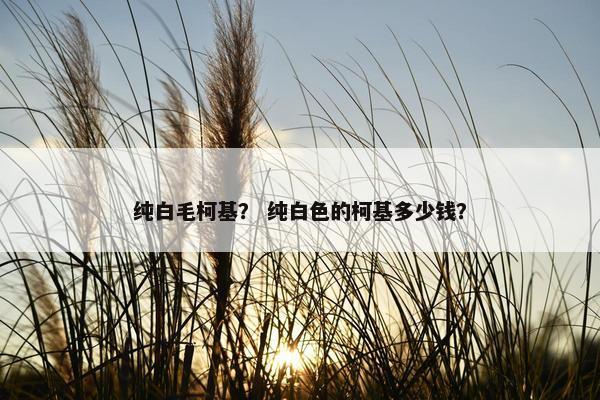 纯白毛柯基？ 纯白色的柯基多少钱？