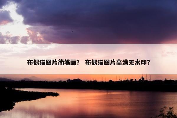 布偶猫图片简笔画？ 布偶猫图片高清无水印？