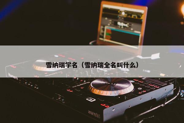 雪纳瑞学名（雪纳瑞全名叫什么）