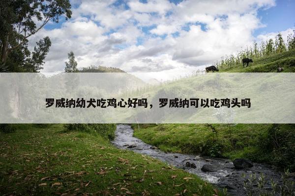 罗威纳幼犬吃鸡心好吗，罗威纳可以吃鸡头吗