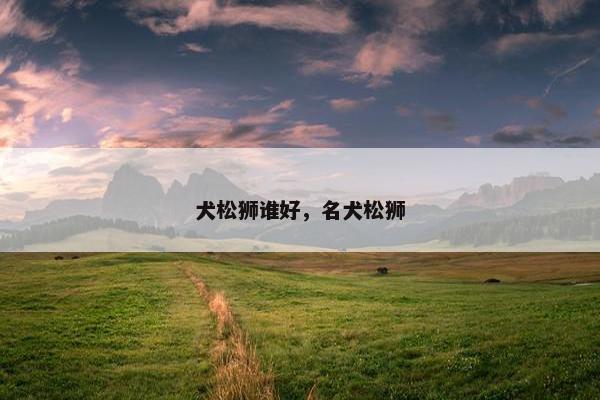 犬松狮谁好，名犬松狮