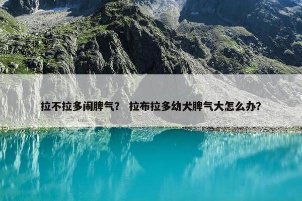 拉不拉多闹脾气？ 拉布拉多幼犬脾气大怎么办？