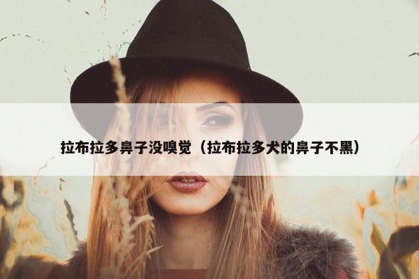 拉布拉多鼻子没嗅觉（拉布拉多犬的鼻子不黑）