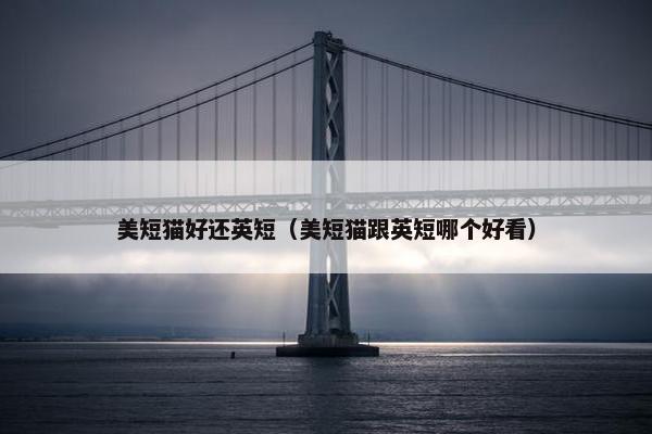 美短猫好还英短（美短猫跟英短哪个好看）