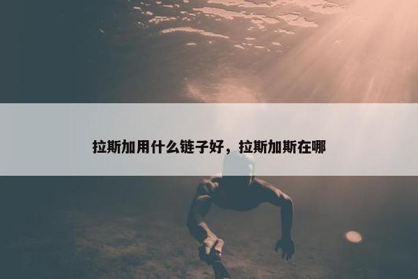 拉斯加用什么链子好，拉斯加斯在哪