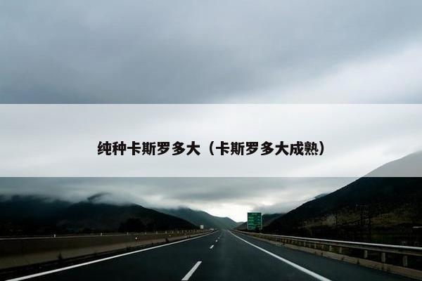 纯种卡斯罗多大（卡斯罗多大成熟）