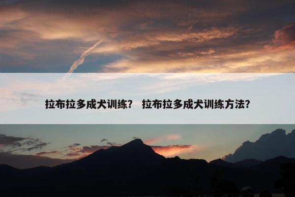 拉布拉多成犬训练？ 拉布拉多成犬训练方法？