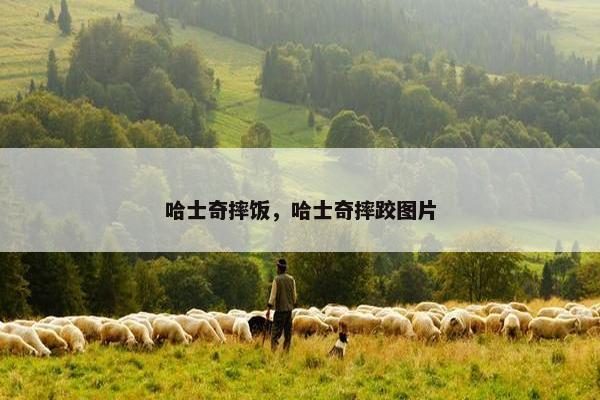 哈士奇摔饭，哈士奇摔跤图片