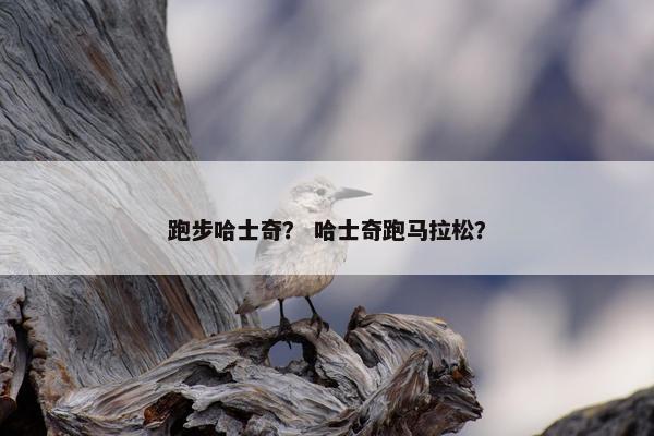 跑步哈士奇？ 哈士奇跑马拉松？