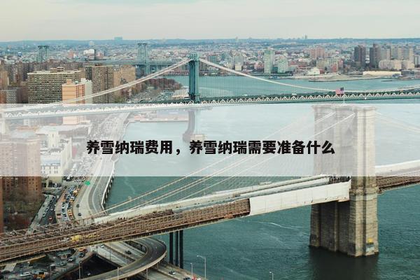 养雪纳瑞费用，养雪纳瑞需要准备什么