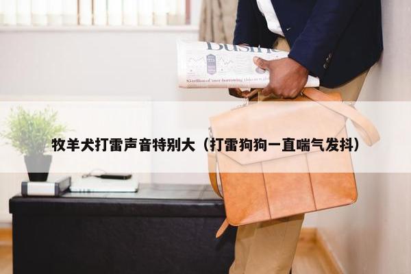 牧羊犬打雷声音特别大（打雷狗狗一直喘气发抖）