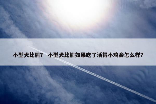 小型犬比熊？ 小型犬比熊如果吃了活得小鸡会怎么样？