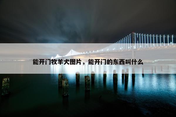 能开门牧羊犬图片，能开门的东西叫什么